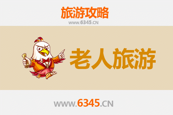 仙桃陈场镇银龄漫游指南：静享水乡古韵的适老之旅